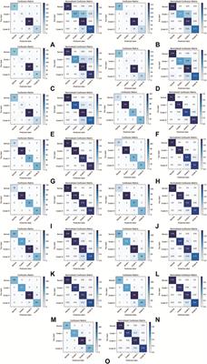 PancreaSys: An Automated Cloud-Based Pancreatic Cancer Grading System